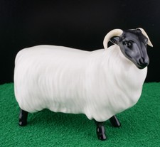 Lovely Beswick Black Faced