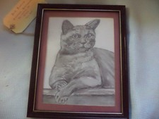 Framed Dorothea Blechynden  Drawing Blue Burmese Cat