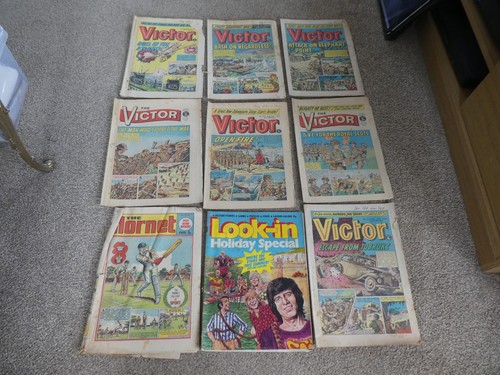 Victor look the hornet - look-in,