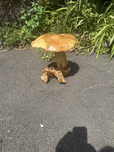 Chiselcraft large teak root - chiselcraft,