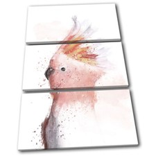 Pink Cockatoo Exotic Bird