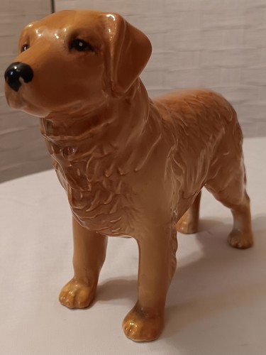 Golden retriever dog - dog, ornament