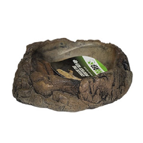 Pro rep terrarium bowl - terrarium,
