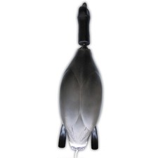 Dokken Dead Fowl Canada Goose