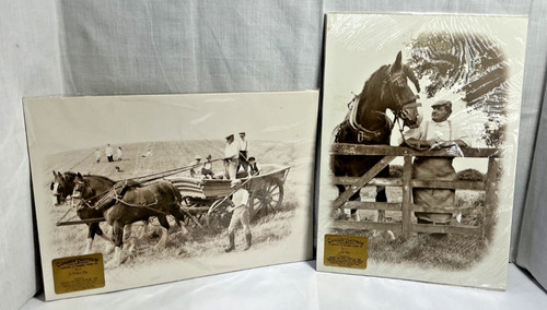 Vintage 1988 shire horse - vintage,