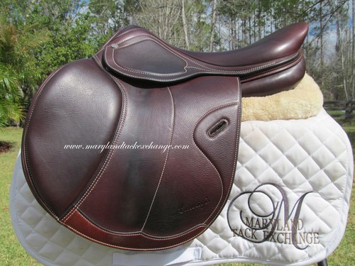 Amerigo octave close - 17.5",