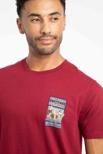 Weird Fish Only Fowls and