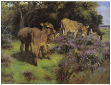 Children of New Forest, Lucy Kemp Welch 10 x 12 inch ready mounted horse print