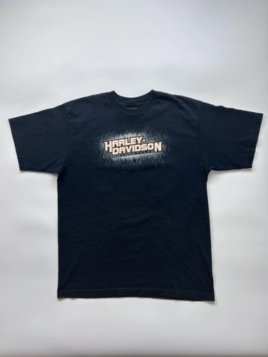 Harley davidson 2006 mount - harley,