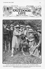 ASHDOWN FOREST Bagging the Badger after a 'Dig' - Antique Print 1909