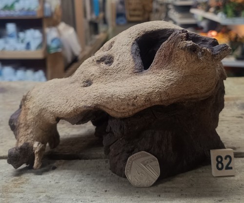 Small medium mopani wood - mopani,