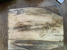 Spalted Ash Bowl Blank Wood