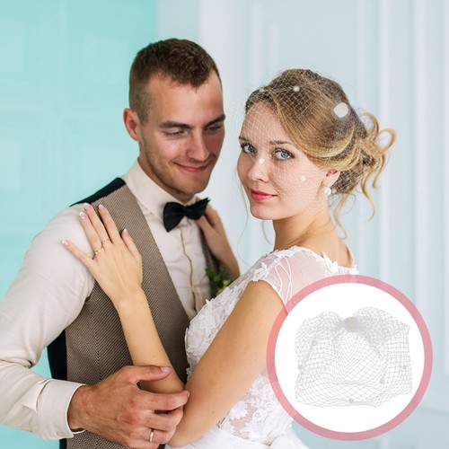 Birdcage veil wedding bride - veil,