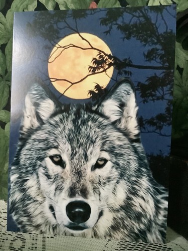 Wolf greyhound lurcher - wolf,,