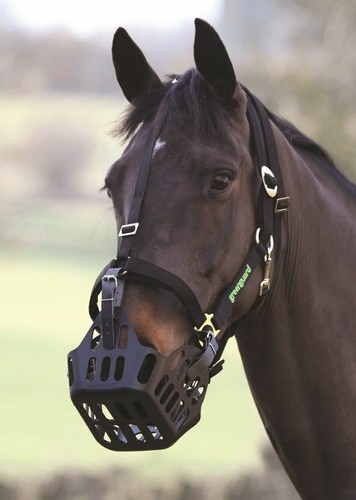 Shires greenguard grazing - greenguard,
