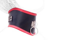 Faux Leather Locking Posture