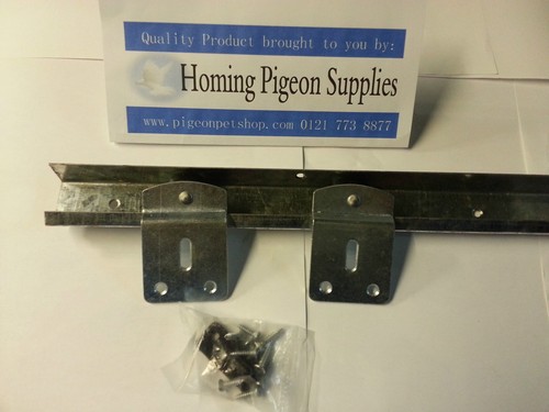 Racing pigeon loft - racing, poultry