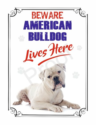 Beware american bulldog lives - bulldog,