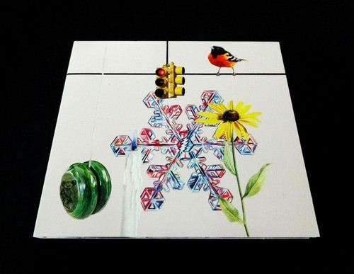 Grateful dead spring - grateful, too