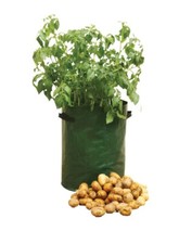 3x Plant Grow Bags Potato
