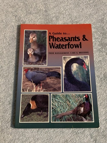 Guide pheasants - pheasants, &