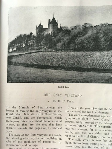 Castell coch cardiff bute - coch,