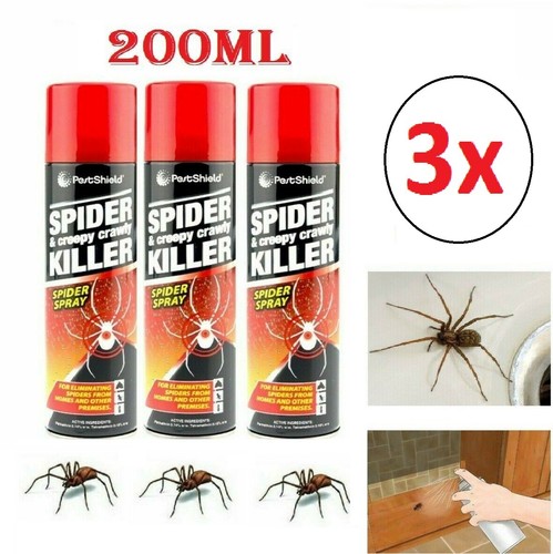 New spider bugs creepy - spider,