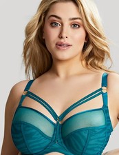 Plus Size Bras Sculptresse by