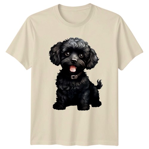 Black poodle dog - black, animals