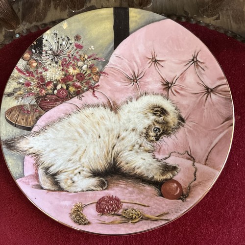 Royal worcester kitten - royal,