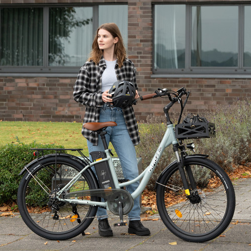 Fafrees electric bike - fafrees,