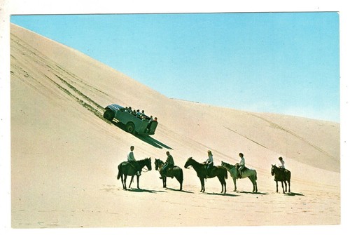 Postcard sand dunes - postcard,