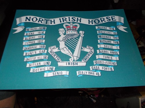 The north irish - north, horse