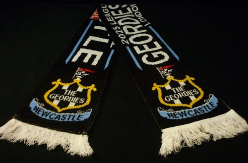 Newcastle united football - newcastle,