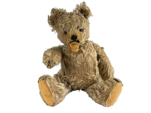 Old steiff animal teddy - animal,
