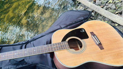 Epiphone 220s - epiphone, 6