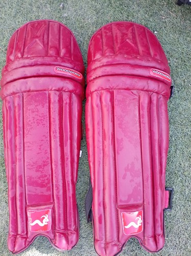 Woodworm cricket pads for - cricket,