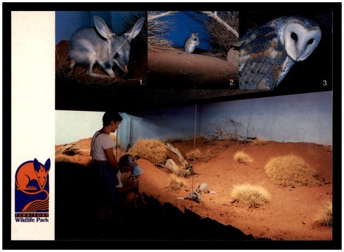 Postcard territory wildlife - postcard,