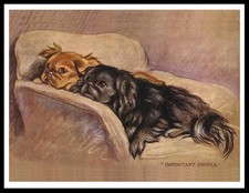 PEKINGESE DOGS LOVELY DOG ART