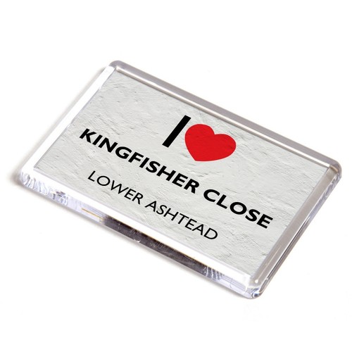 Fridge magnet i - magnet,