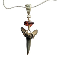 Gorgeous Fossil Sand Shark Tooth Necklace - Beautiful Presentation