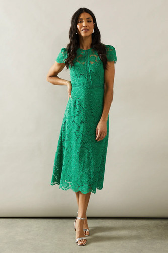 Wallis green fit flare - green, &