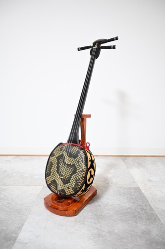 Okinawa sanshin ready - ready, play