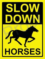 SLOW DOWN HORSES  #s1239 SIGN