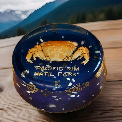 Vintage lucite pacific - lucite,