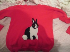 Rabbit jumper