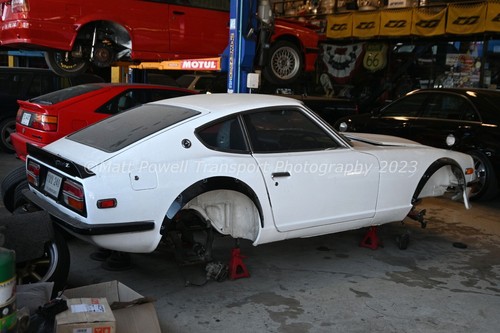 Car photo 12x8 datsun - photo,