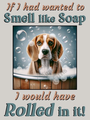 Beagle pet dog funny - dog,