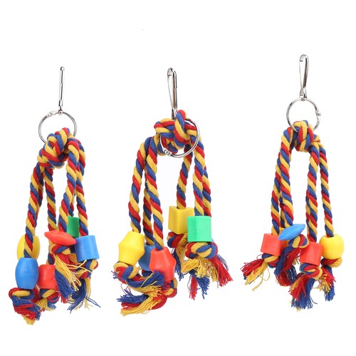 Pet bird colorful - pet,