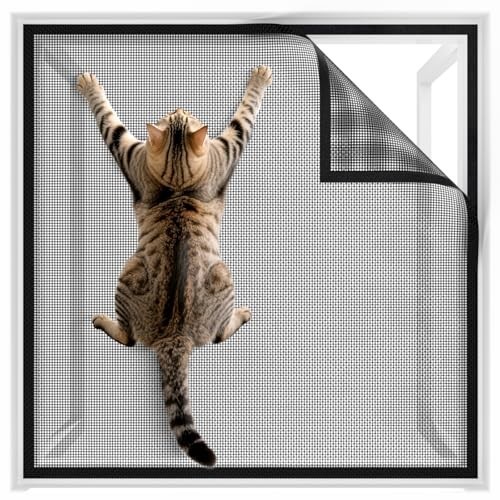 Durable scratch resistant cat - durable,